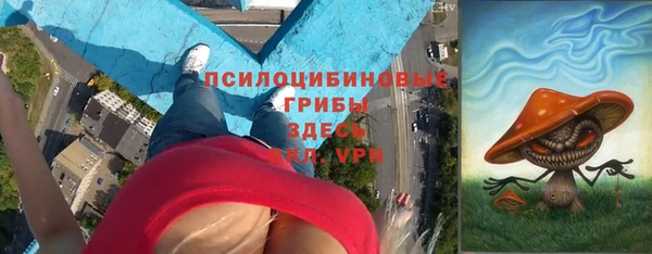 амф Абинск