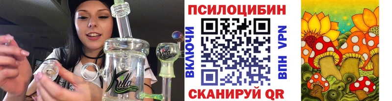 ссылка на мегу   Кочубеевское  Псилоцибиновые грибы GOLDEN TEACHER 